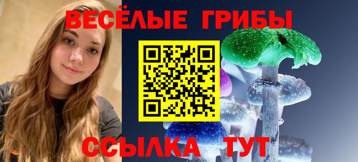 Галлюциногенные грибы Psilocybine cubensis Кисловодск