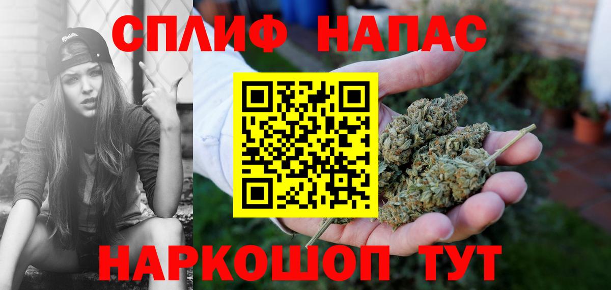Бошки Шишки план Кисловодск